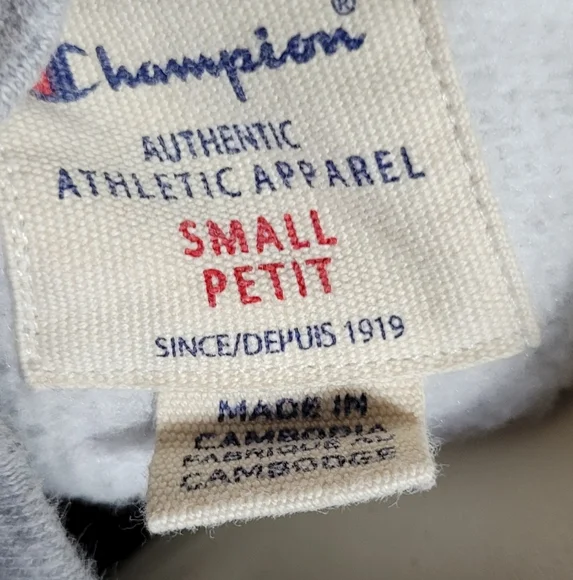 champion sweatshirt 2010s pullover ₊✩‧₊˚౨ৎ˚₊✩‧₊ - Picture 6 of 6